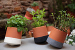 Tip Mini moving plant pot